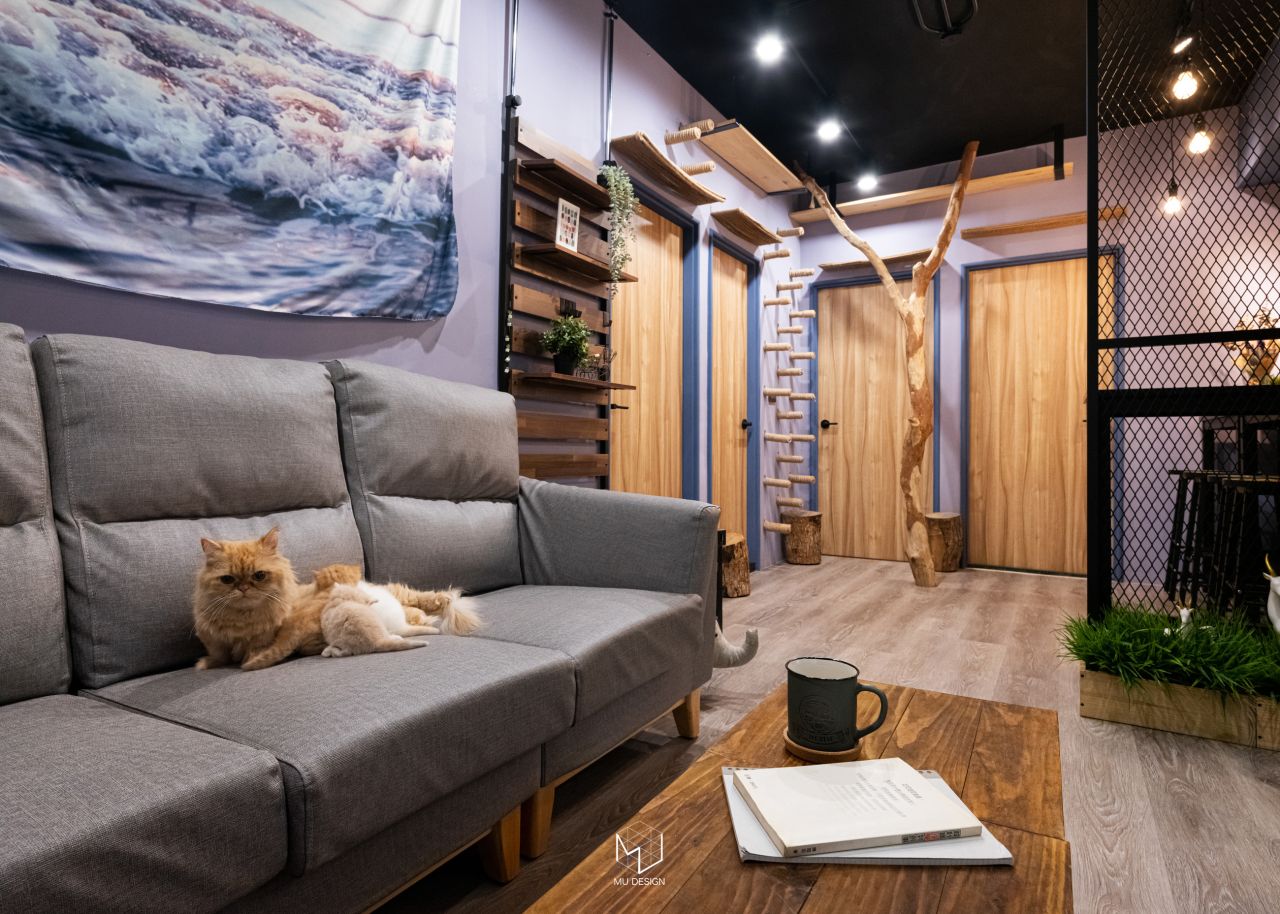 養寵物的居家設計：打造人寵共居的幸福家園